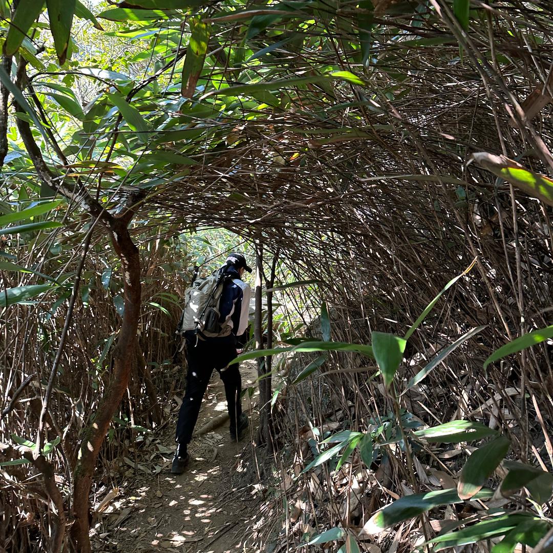 深情背包侠🥷🏻
