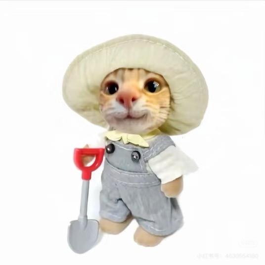 马铃薯🥔