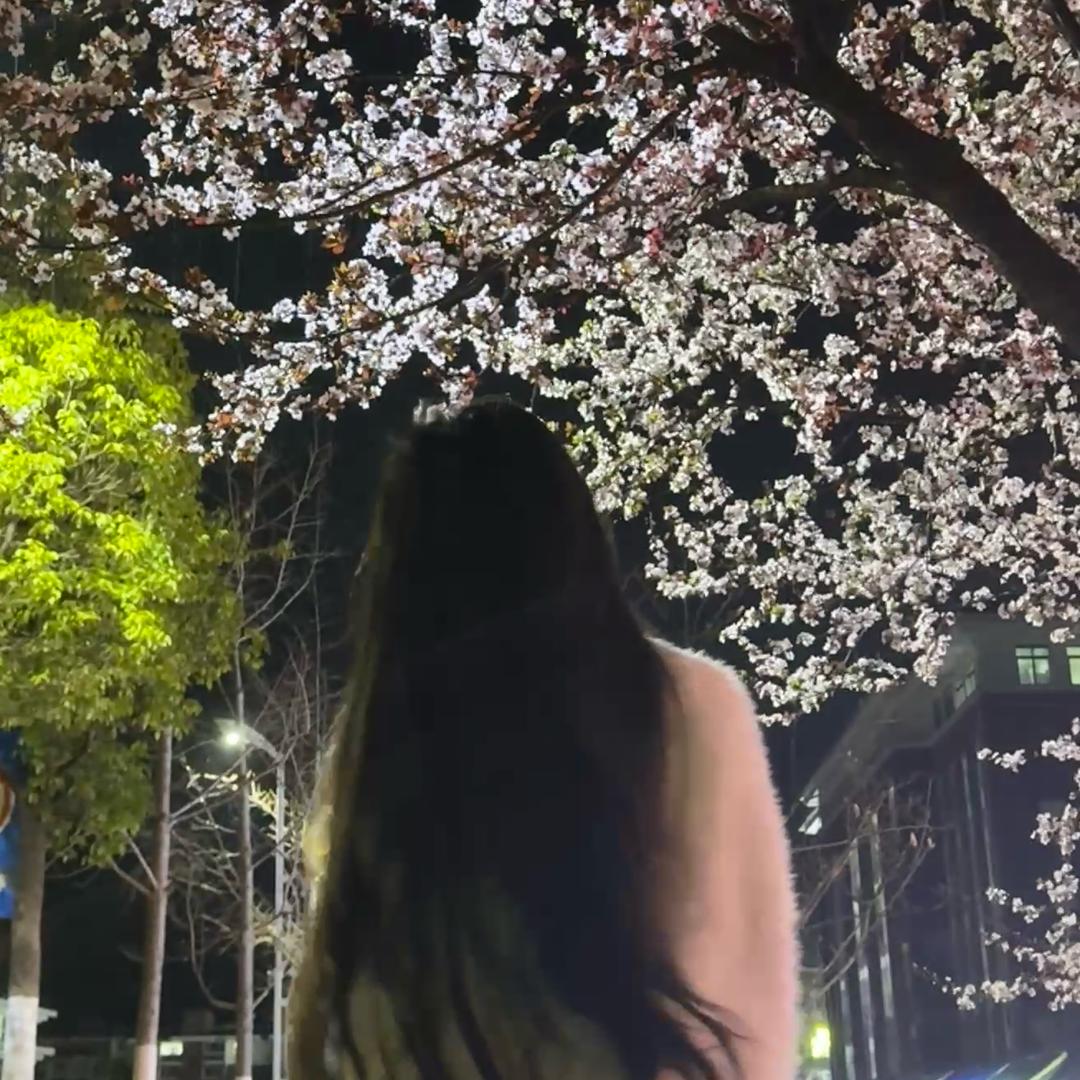 九龙母