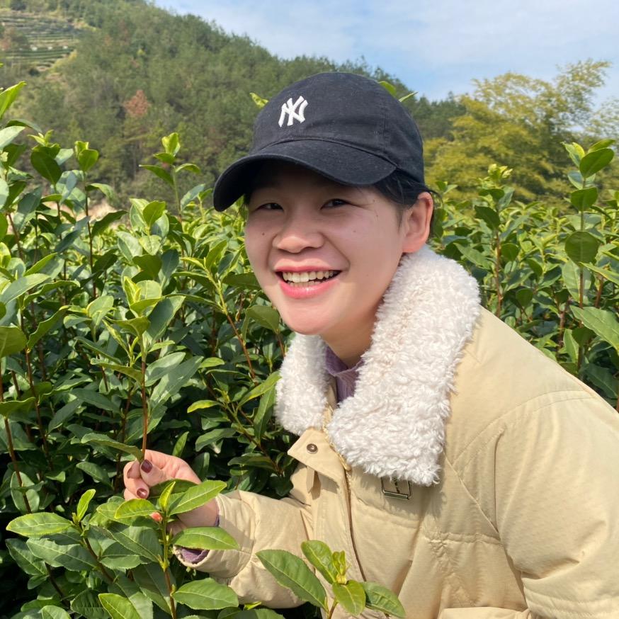 顾里家的茶