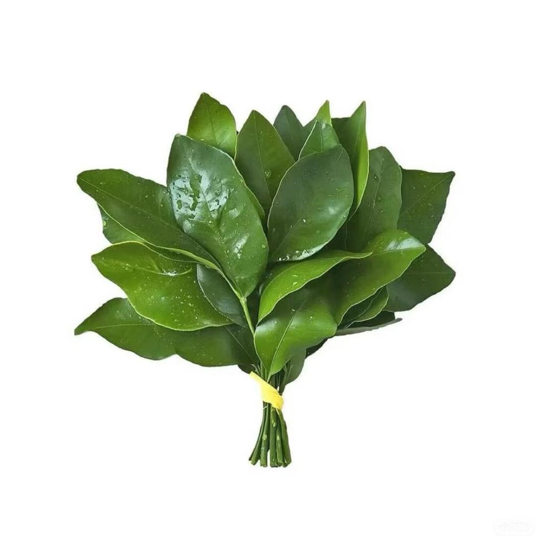 Aa.小金鱼