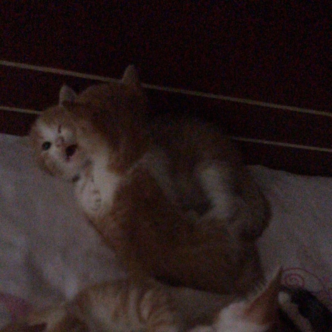 有个地方叫做稻城