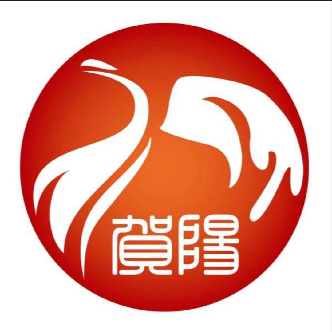 贺阳高级中学高老师