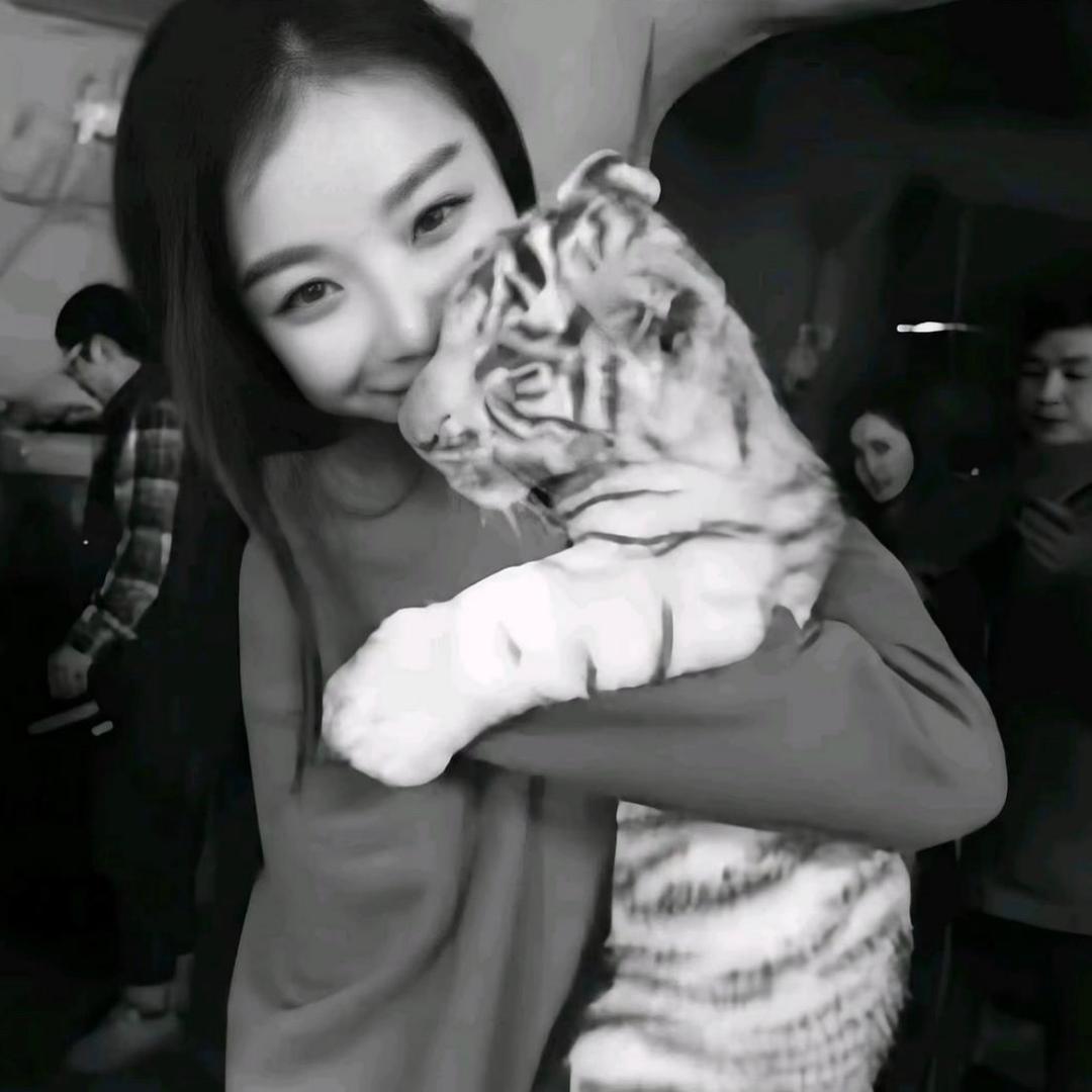 人傻嘴不甜长得安全还没钱