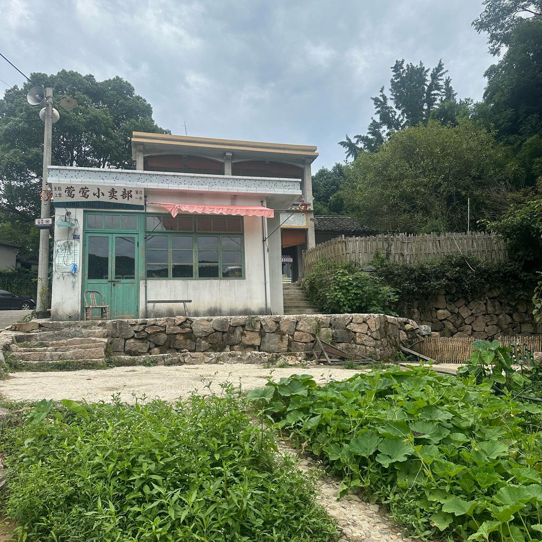 胡图图