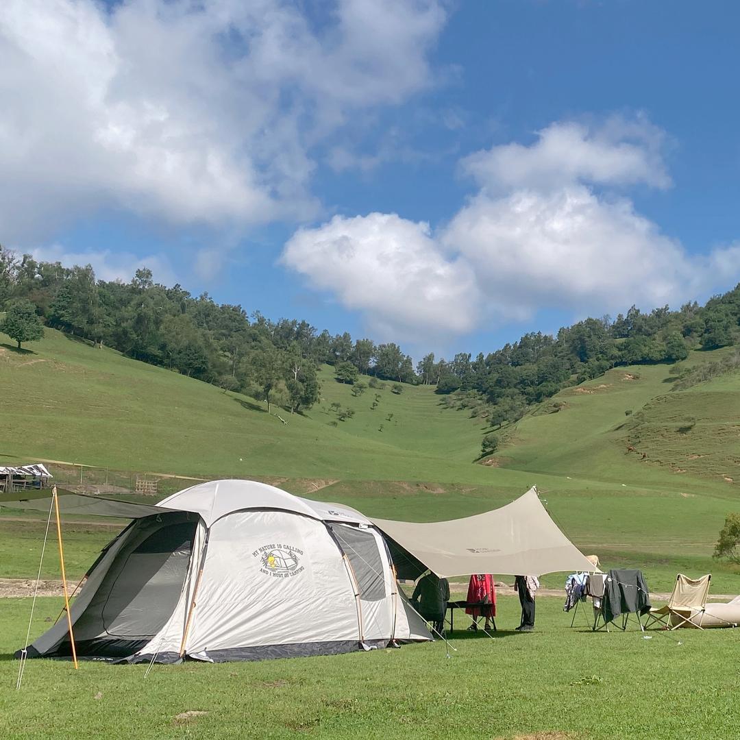 一如年少时模样