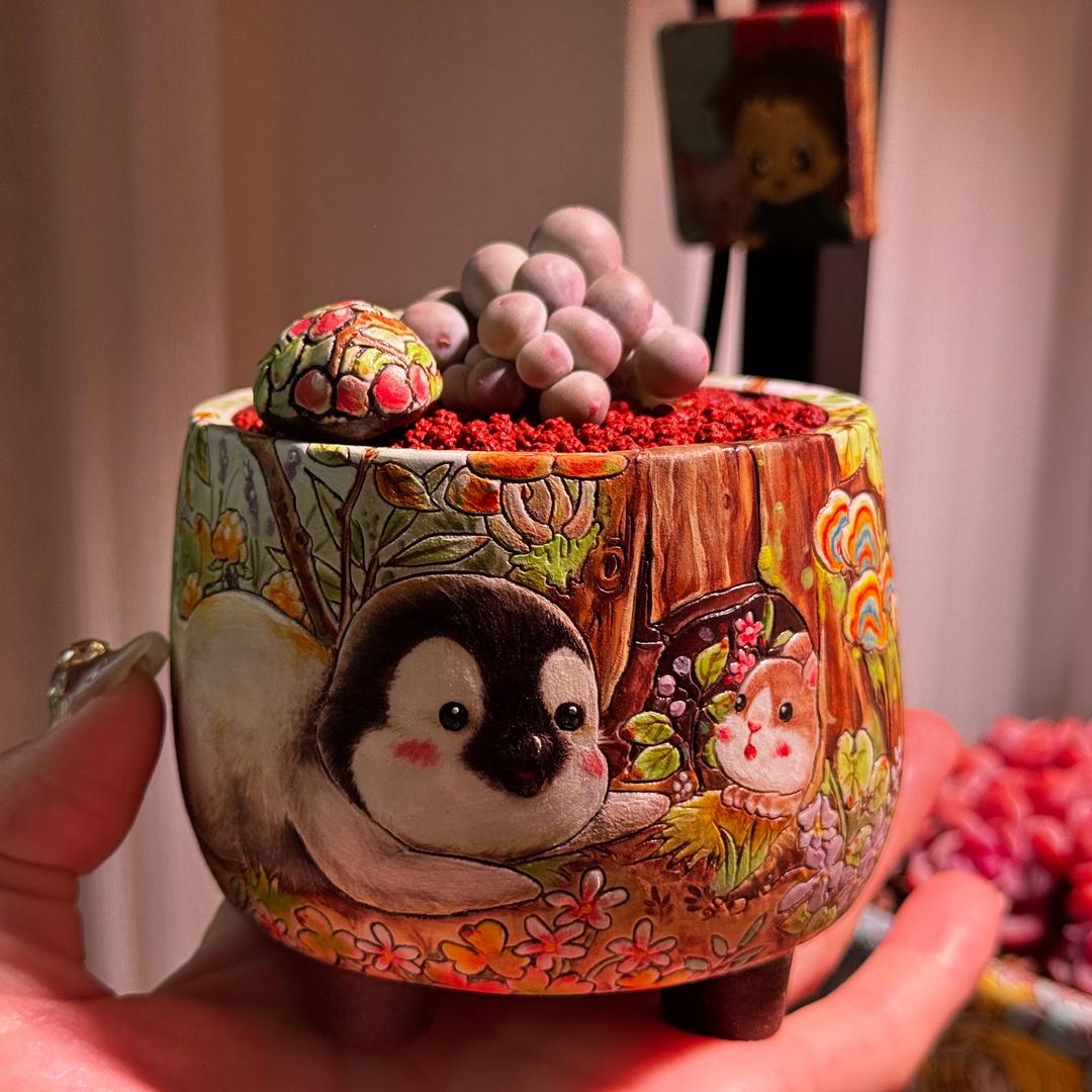 爱养多肉的妞宝