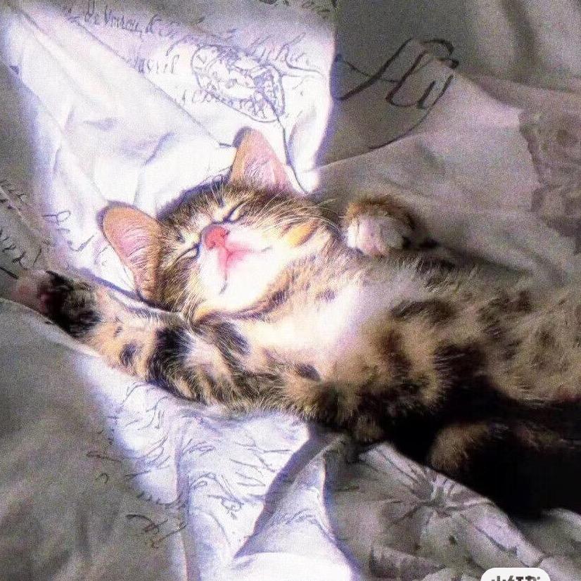 花瓶在南天门烤面包