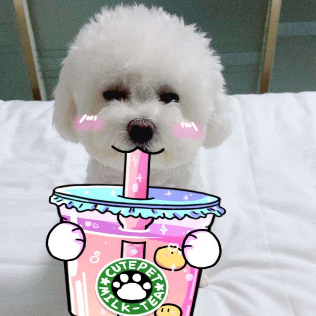 🌸汪汪队长（花卷儿）