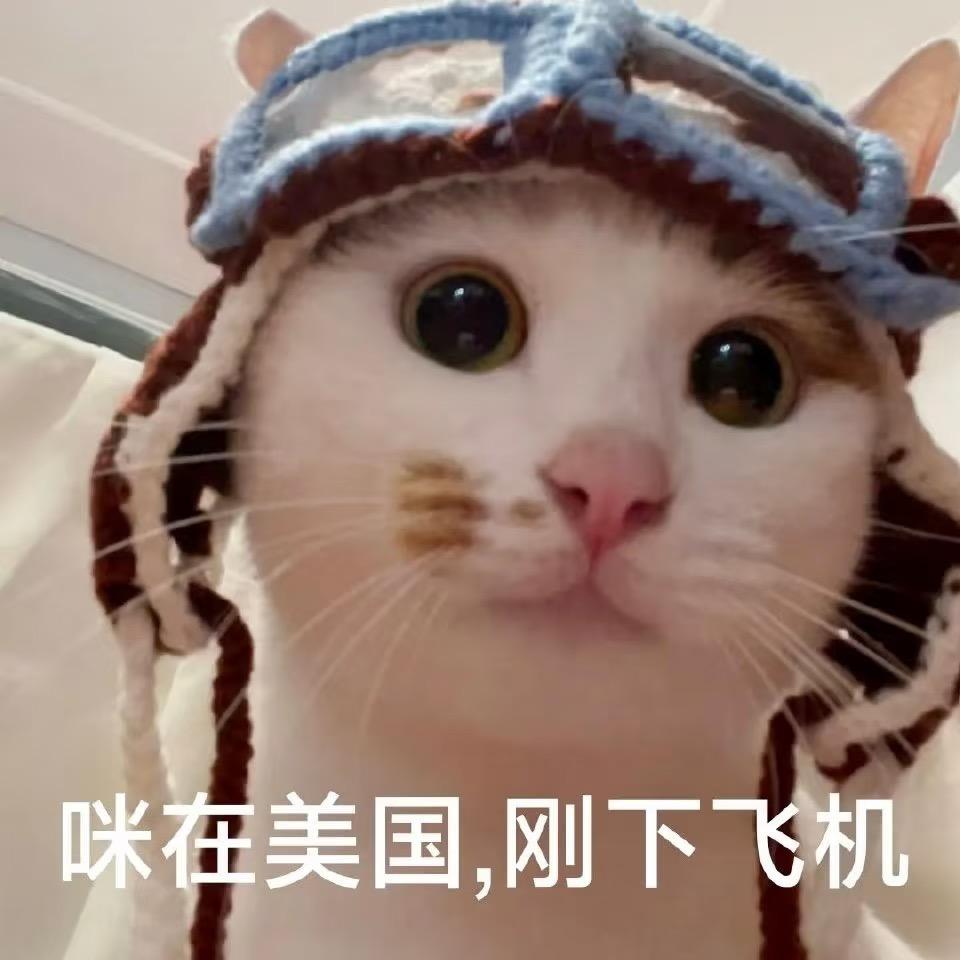 夏夏夏