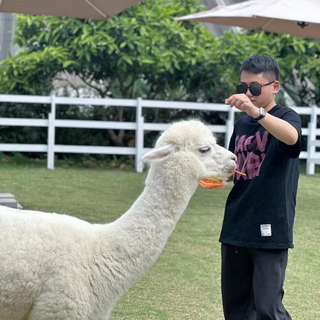 幸福伟哥
