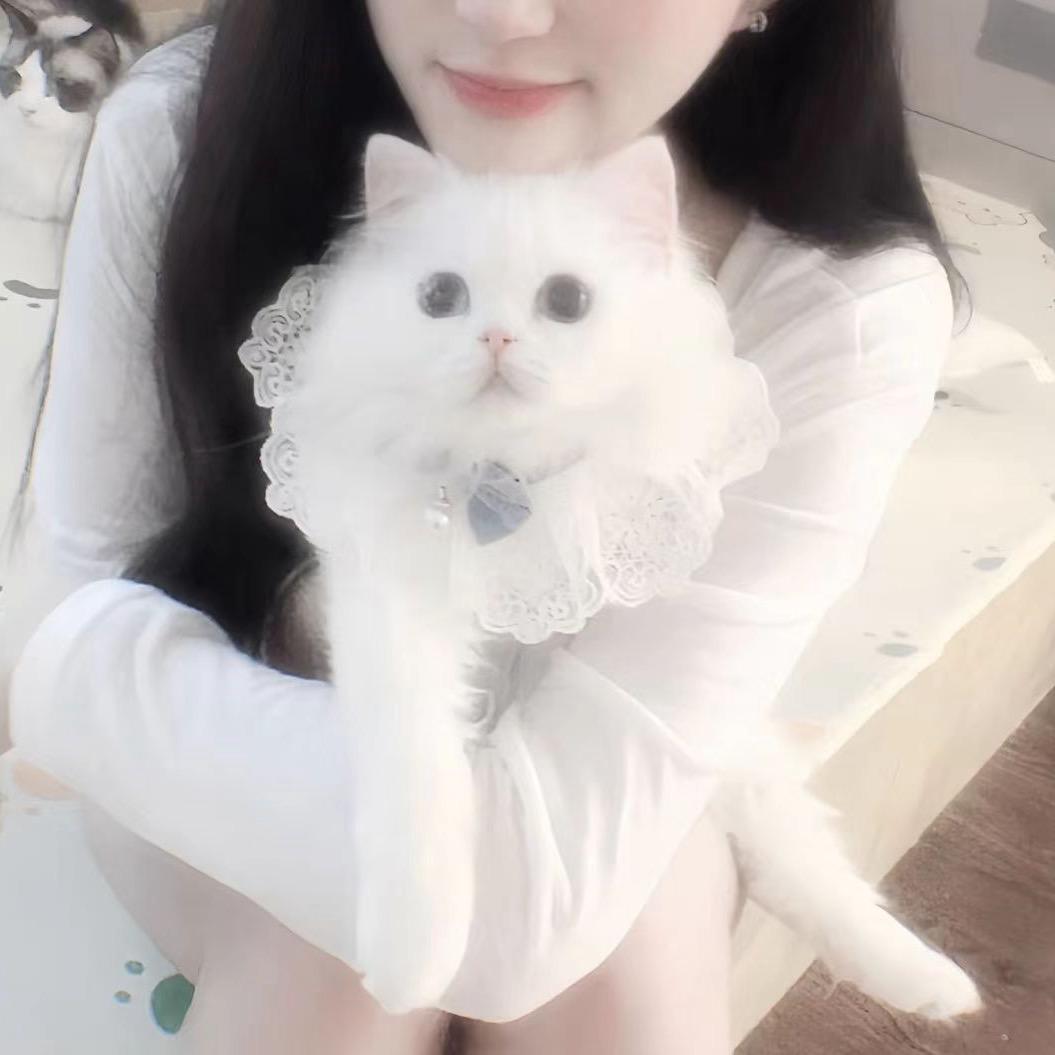辞亭序.