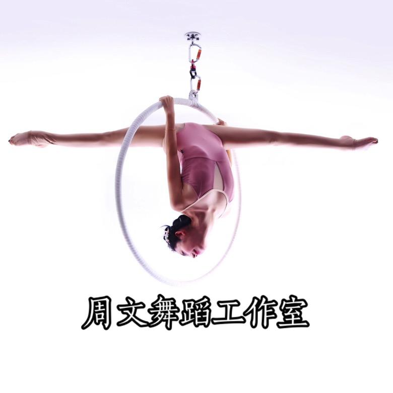 沈阳市沈河区周文舞蹈工作室