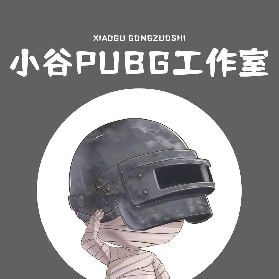 小谷-PUBG评估