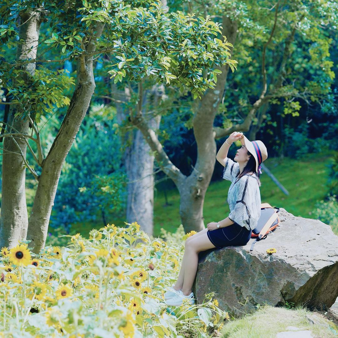 亦复如是✿