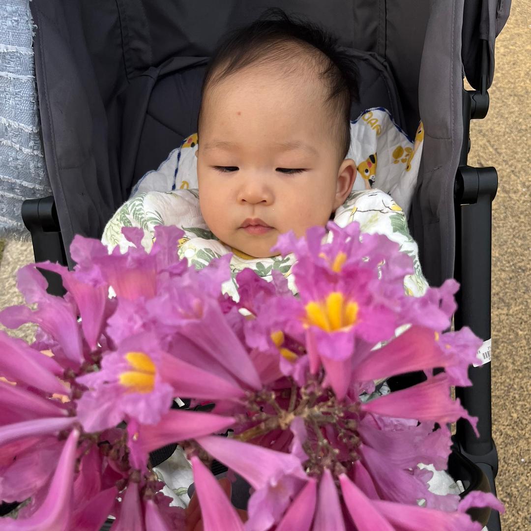 星星妈妈