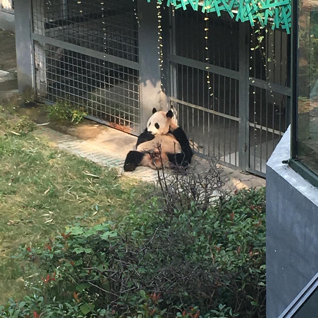 烤个锤子