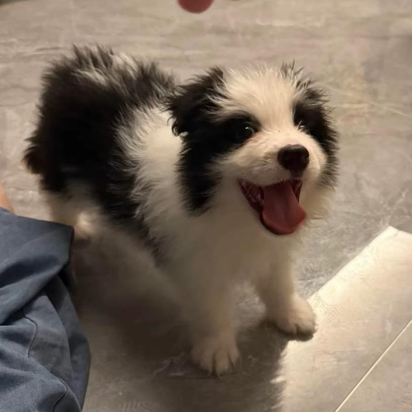 百万