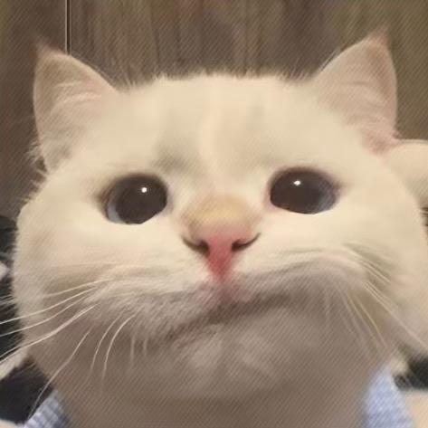 小尾巴