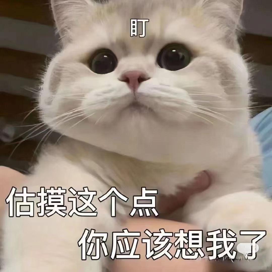 小梦鑫