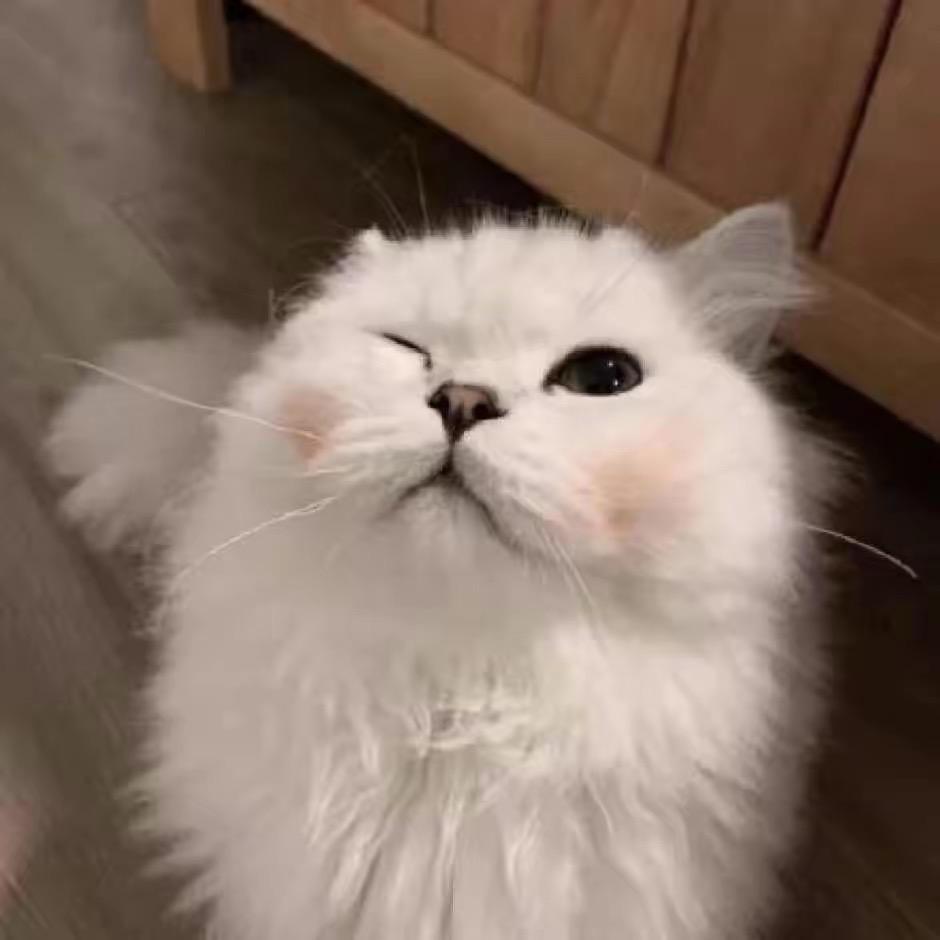 爱吃牛蛙的英雄