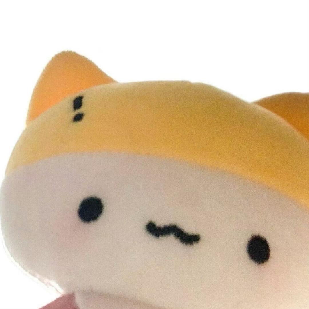 zZ^