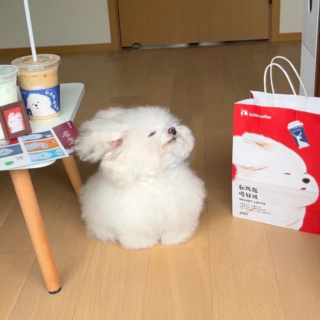 一口盐汽水🥤