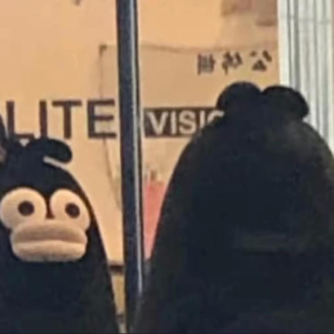 wuli吴鸭梨