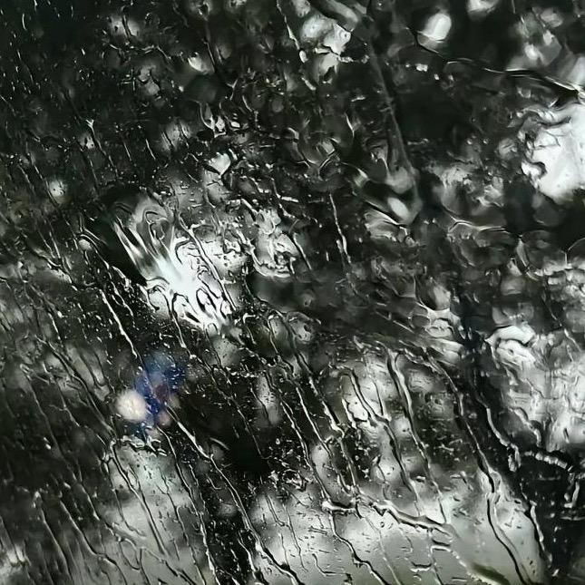 奕奕哆哆-供应链