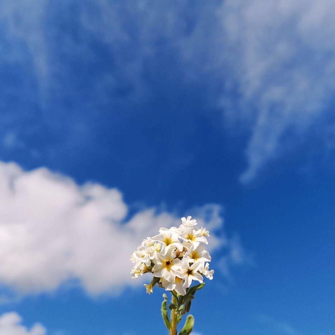 仔仔