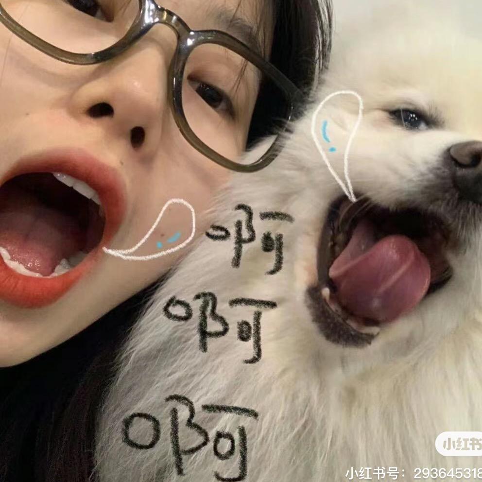 张张包（廊坊理想主理人）