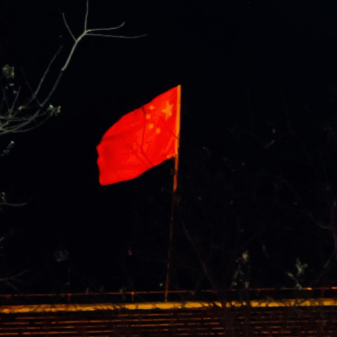 专项
