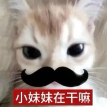 好笨.