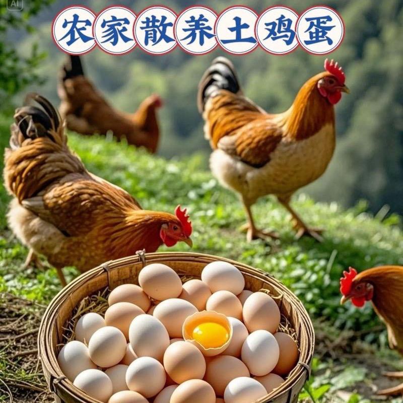 岳阳县后山生态农庄（土鸡.土鸡蛋）