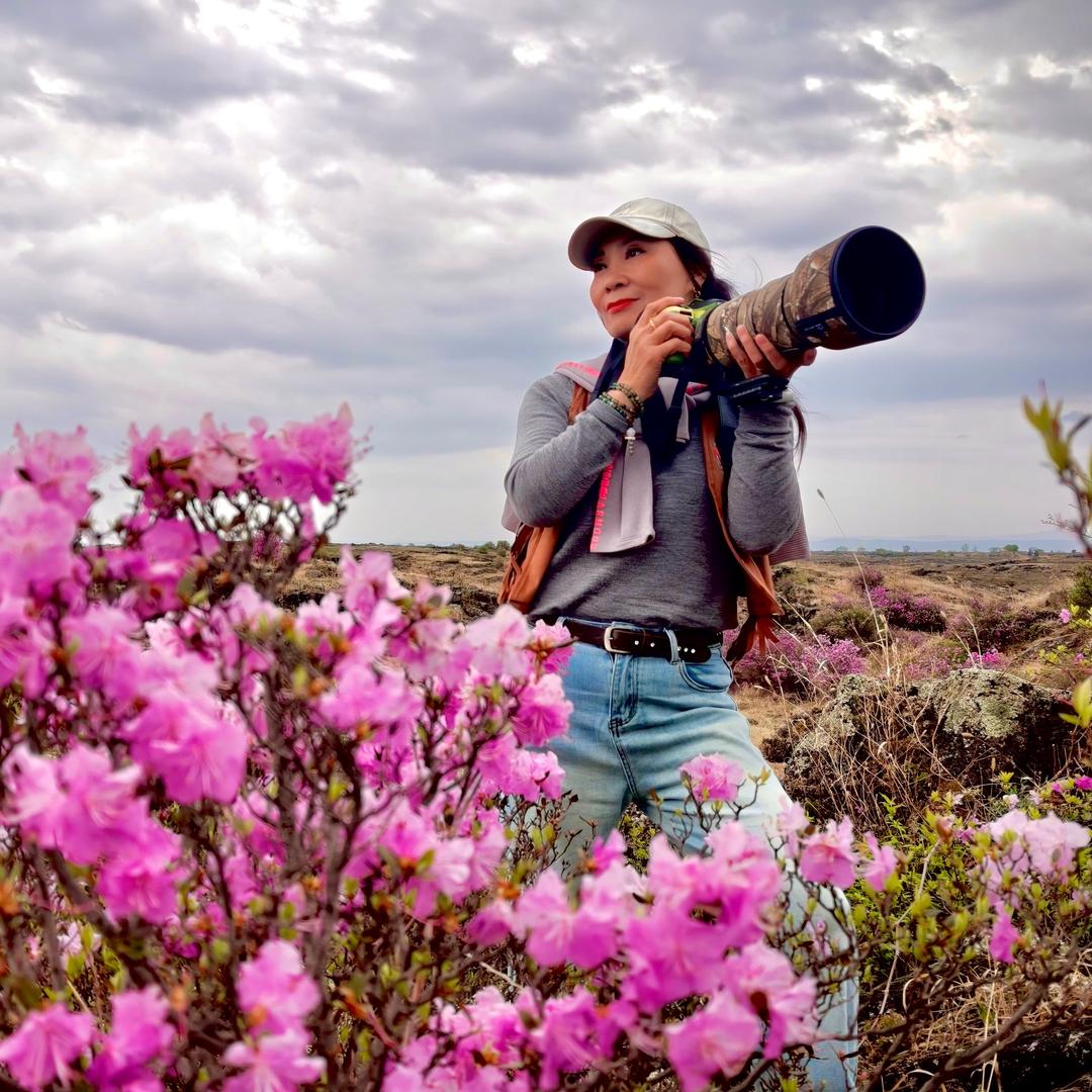 简静🪷（原创）