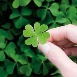 靠岸的船🚢……