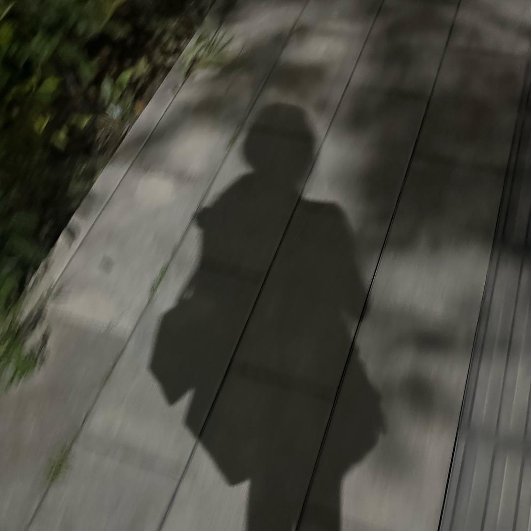 冰糖葫芦五加皮