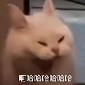 我就是没有没有名字