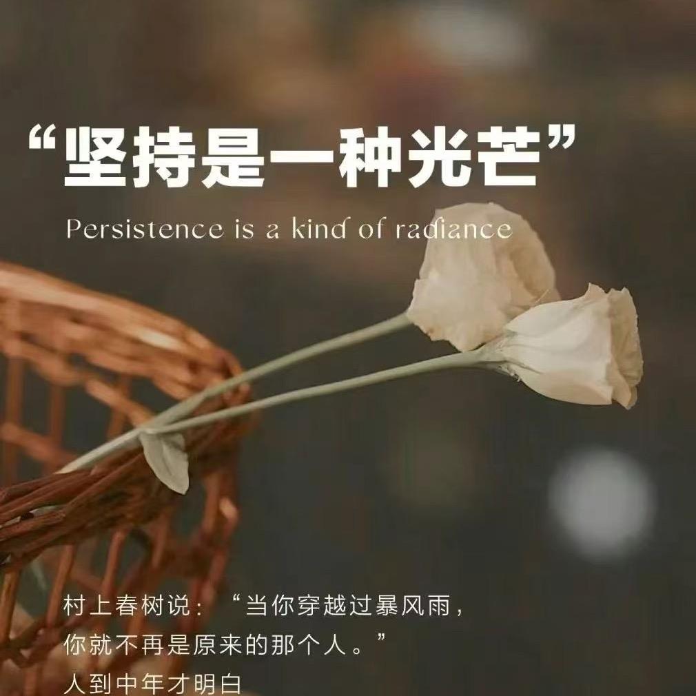 不再爱