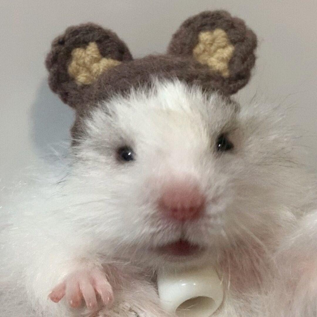 铜钱