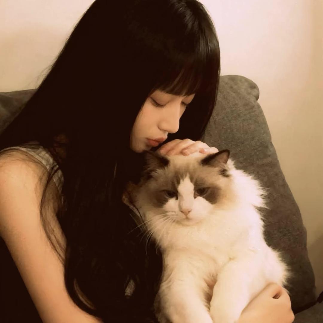有点小吴聊、