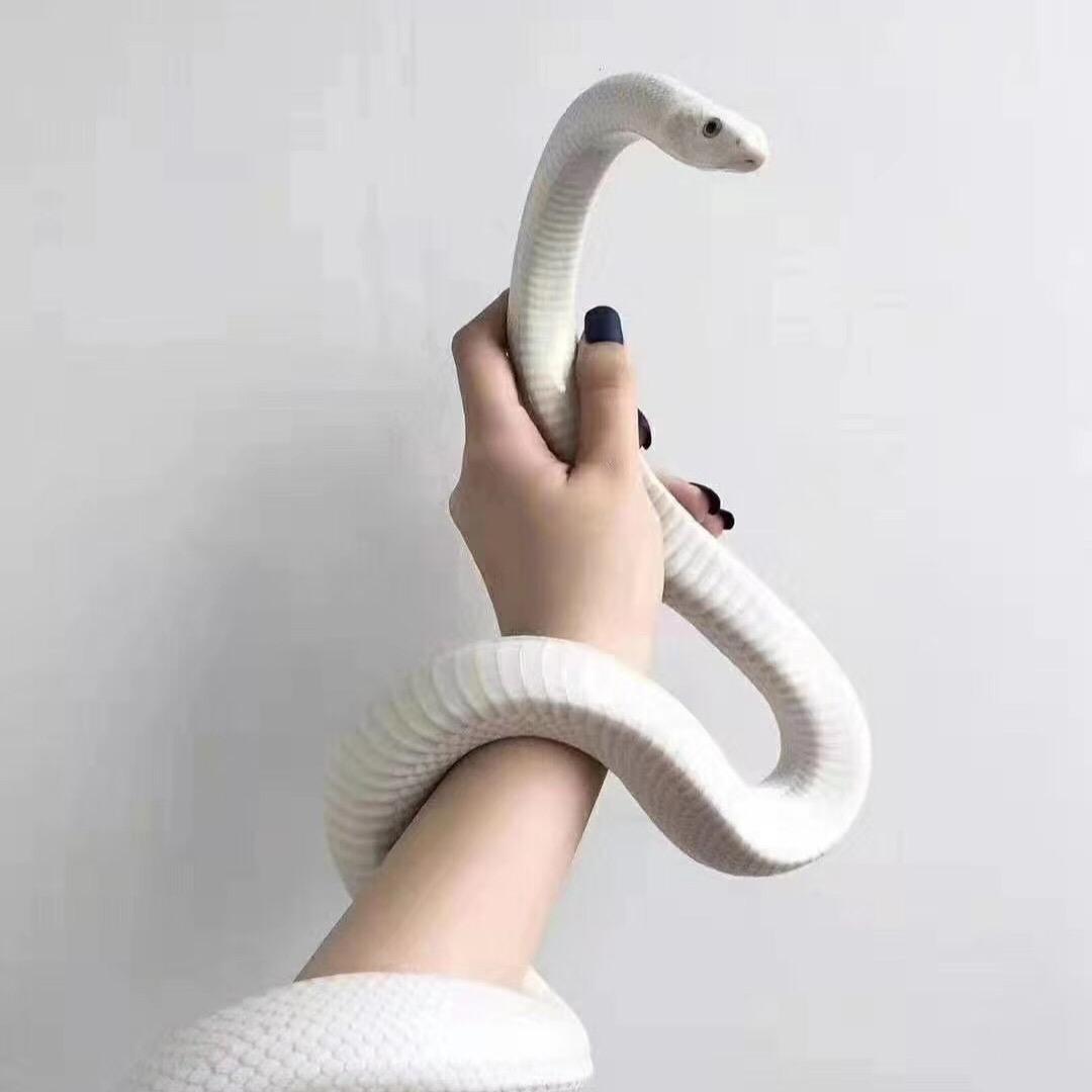 欧尼（ㅤ）