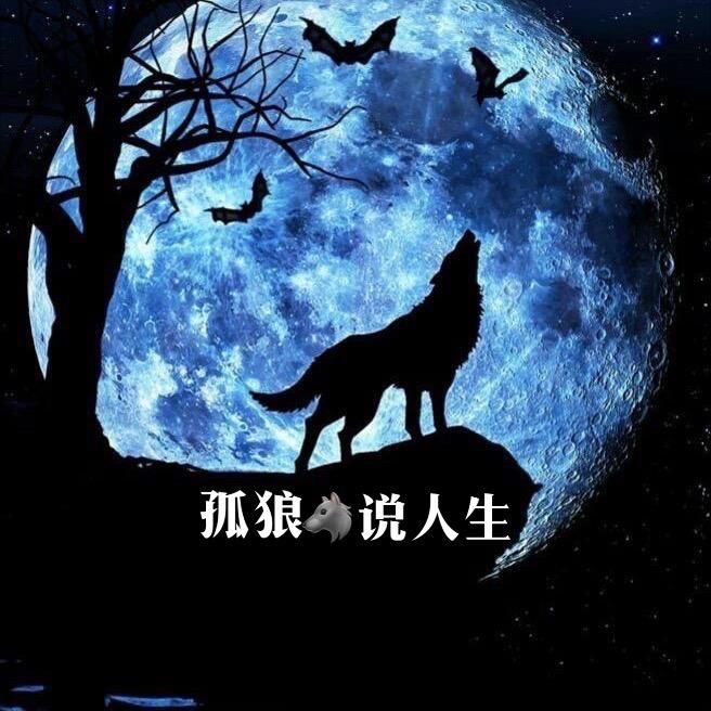 孤狼🐺说人生