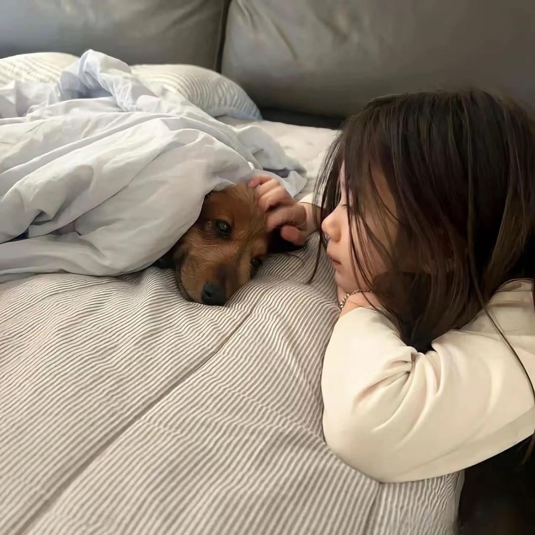 天亮以后说再见