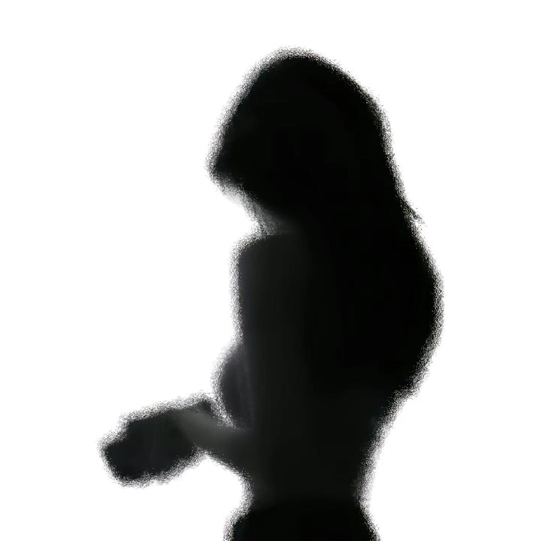 只只