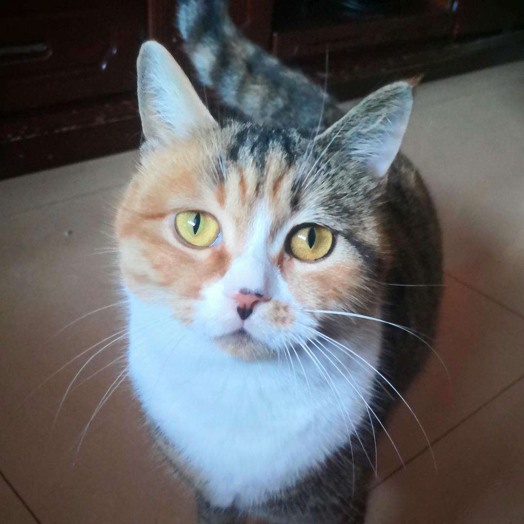 李家俊