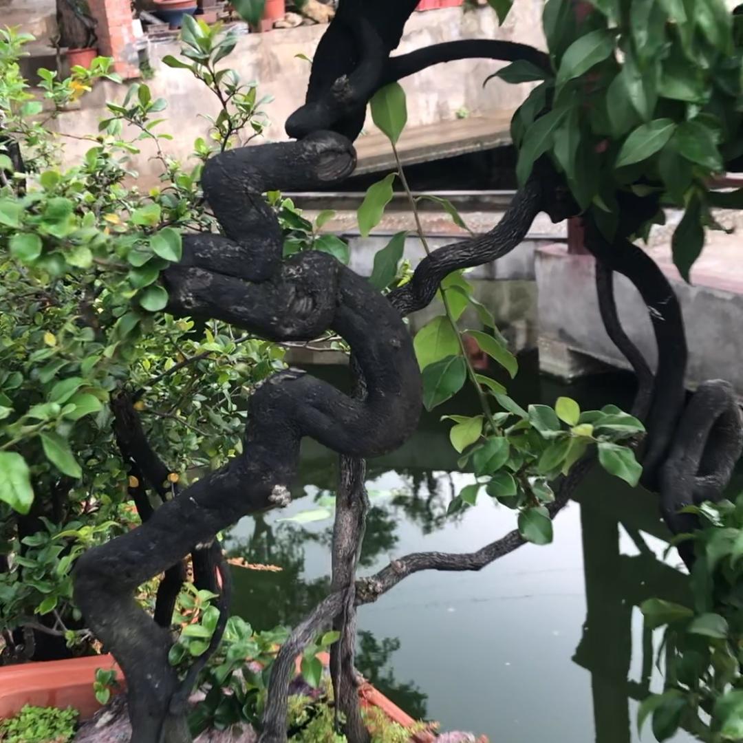 金弹小铺