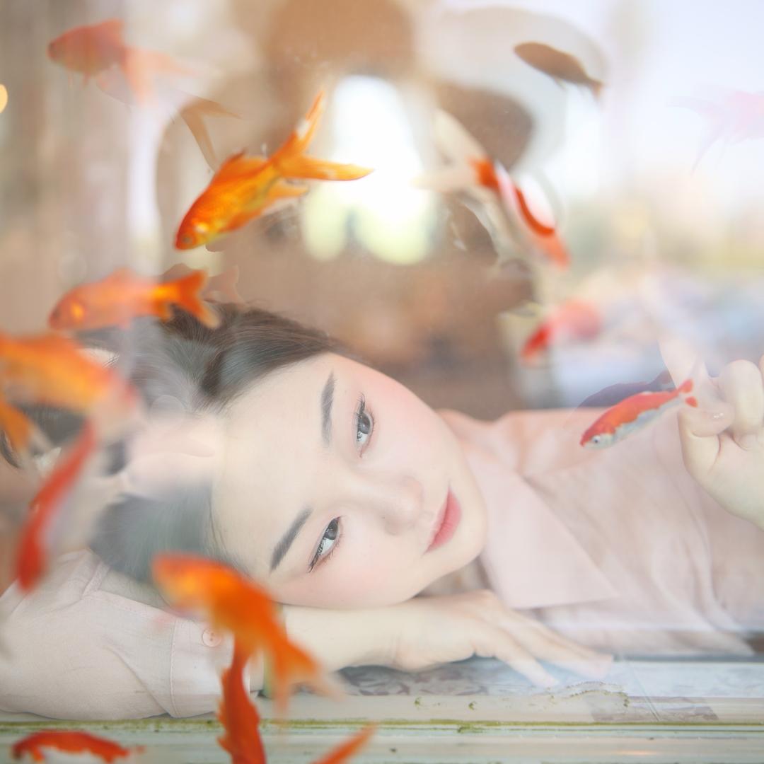 雨晴姓杨🦋