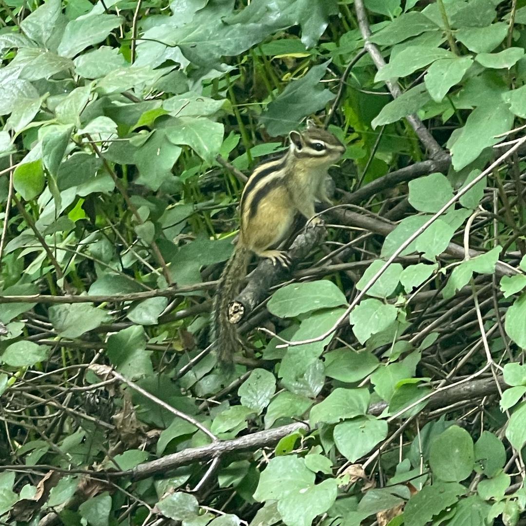 🙏我想向佛🙏菲