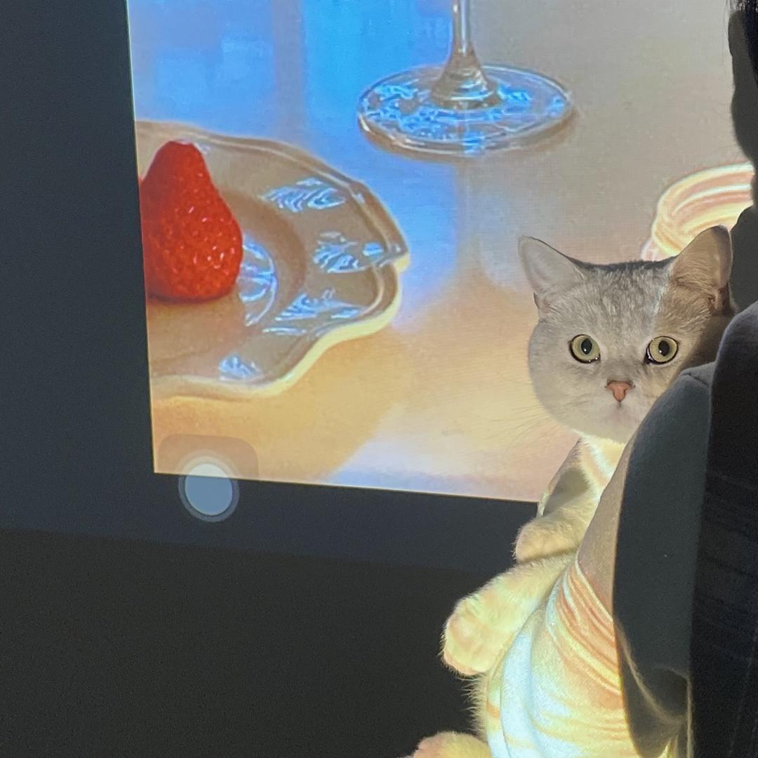 悠咪小猫